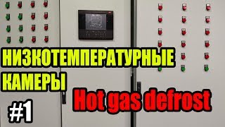 Щиты для низкотемпературных камер | Hot gas defrost