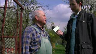 Sposoby na walkę z mszycami