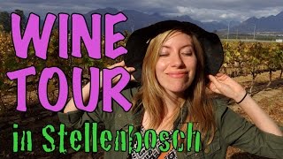 Stellenbosch Wine Tour in South Africa