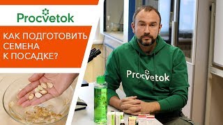 Как подготовить семена к посадке? Ответы на вопросы