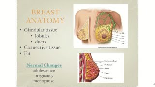 Anatomy of the Breast