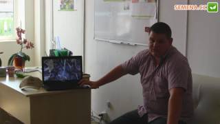 Нозоми F1 капуста (Sakata) семинар Sakura