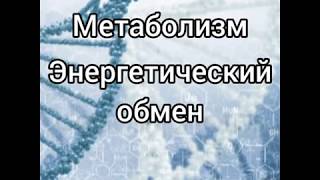 Метаболизм. Энергетический обмен в клетке. Общая биология - 9, 10, 11 класс