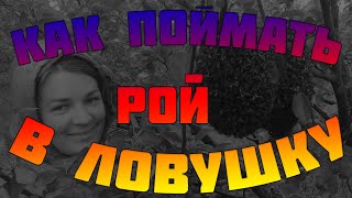 Как поймать рой в ловушку.Установка ловушки для пчел