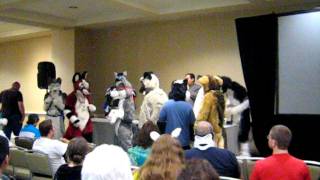 How to handle a fursuiter: Anthrocon 2011