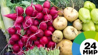 В Таджикистане запретили повышать цены на продукты до конца Рамазана - МИР 24