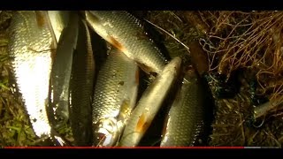 кастинговая сеть ночью