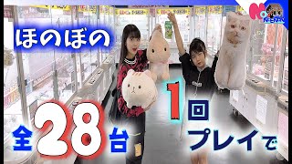 クレーンゲーム28台を全1回チャレンジ！大物ゲットでやっぱりこの企画すごいw（エブリデイとってき屋東京本店ほのぼの1人編）【のえのん番組】