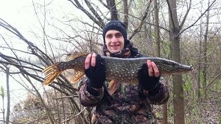 Ловля щуки на вращающиеся блесны район Ивки