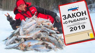 РЫБАЛКА 2019 ПО ЗАКОНУ И НЕТ!!! ШТРАФЫ, НОРМЫ ВЫЛОВА, ТАКСЫ