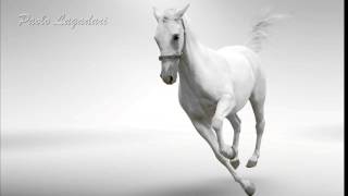 CAVALLO BIANCO  - Matia bazar -
