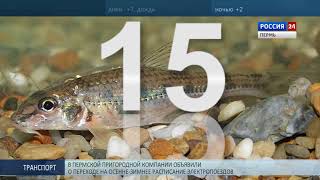 Из Красной книги Прикамья исключили 15 видов растений и животных
