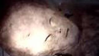 Real Alien-part2
