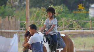 Wisata berkuda memanah di solo, jawa tengah [ IHSAN STABLE ]