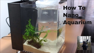 how to set up a nano fish tank (office aquarium)