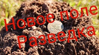 Поиск монет на распаханных полях в Баварии с металлоискателем