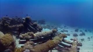 Дно океана. Дайвинг панорамное видео  в 3D 360 градусов