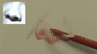 Exercice - Dessiner le nez - modèle 15 - Technique du clair obscur - portraitfacile.com