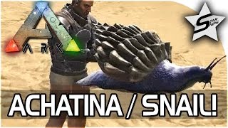 ARK NEW ACHATINA TAME! - "CEMENTING PASTE SNAIL!" - ARK Survival Evolved Update Gameplay