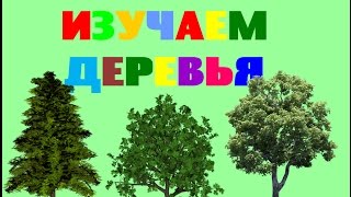 Изучаем деревья с ребенком в картинках. Виды деревьев. Карточки Домана. Обучающее видео для малышей