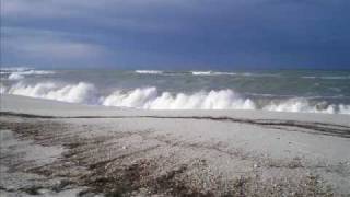Surfcasting Is Arutas (fishing in SURF conditions)