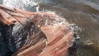 Рыбалка.И снова невод.