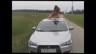 Танцы - шманцы. Приколы