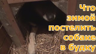 Какую подстилку положить зимой собаке в будку чтобы было тепло и сухо