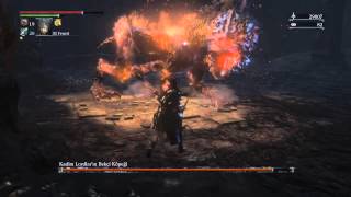 Bloodborne kadim lordlar bekci kopegi