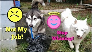 My Dogs Take Out The Trash | After Arguing With Me