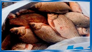 ОТЛИЧНАЯ ОСЕННЯЯ РЫБАЛКА НА ХАПУЖКУ ХЛОПОК С ЛОДКИ ПВХ,