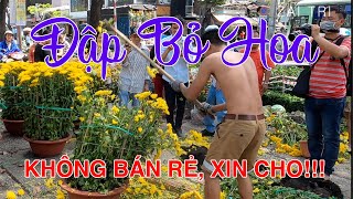 Tết 2020: Đập Bỏ Hoa ngày 30AL vì không muốn bán Rẻ hay Cho ở chợ hoa TpHCM | ZaiTri