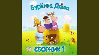 Сорока - белобока