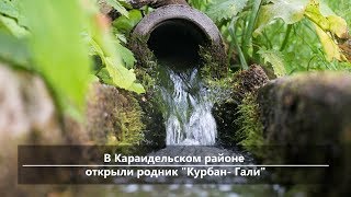 UTV. Новости севера Башкирии за 27 июня (Бирск, Мишкино, Бураево)