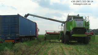 Комбайн Claas Lexion 570 (2010)