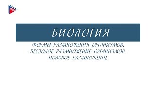 10 класс - Биология - Формы размножения организмов. Бесполое размножение. Половое размножение