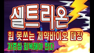 셀트리온 힘못쓰는 제약바이오 대장 왜 이럴까?자존심 회복해야 한다 셀트리온헬스케어 셀트리온제약 주가전망 주식분석