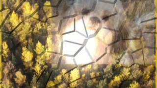 ши-тцу Саша видит сны/shih-tzu  Sasha's dreams
