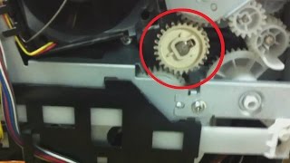 HP P2055 шумит, гудит, трещит при печати