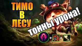 ТИМО В ЛЕСУ против ВАЙ!
