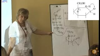 Анна Карцова. Кислотно-основные свойства органических соединений