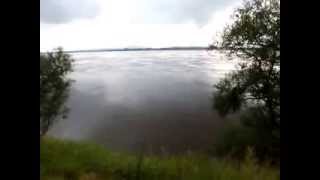 Амур в с. Екатерино-Никольское, 15.08.2013 г.