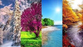 Сборник - Времена года. Музыка Сергея Чекалина. Seasons. Music by Sergey Chekalin.