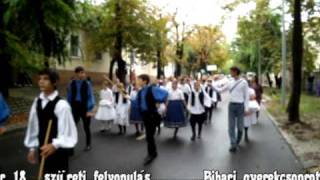 Szekszárd 2010-09-18 szüreti fesztivál felvonulás(Bihari gyerekcsoport)