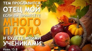 2015 Праздник Жатвы