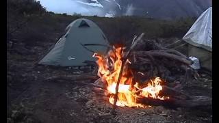 Байкало-Ленский заповедник часть 1. Изюбры пантачи