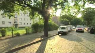 Tierambulanz - Wespenstich und Findelkind