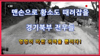 [배스낚시 EP.21] 경기북부 앵글러의 위엄