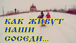 Соседи по селу.Обзор хозяйства. Родилась тёлочка.