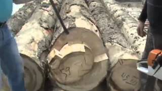 Smuggling cigarettes in logs